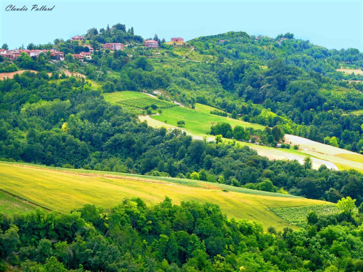 40569 (a): :1600x1200